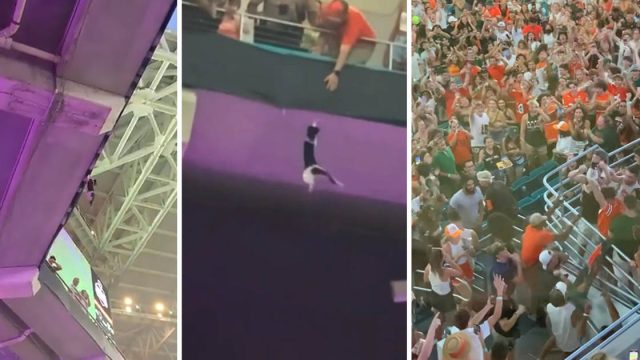 Gato es atrapado por los fanáticos después de caer del nivel superior del estadio