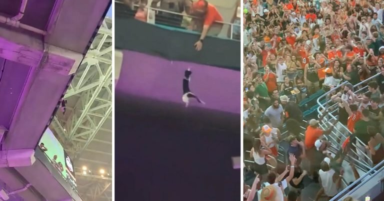 Gato es atrapado por los fanáticos después de caer del nivel superior del estadio