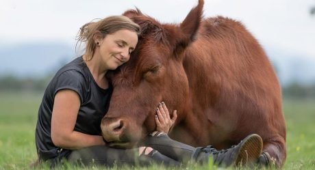 Mujer es la mejor amiga de un enorme toro que rescató siendo un pequeño becerro