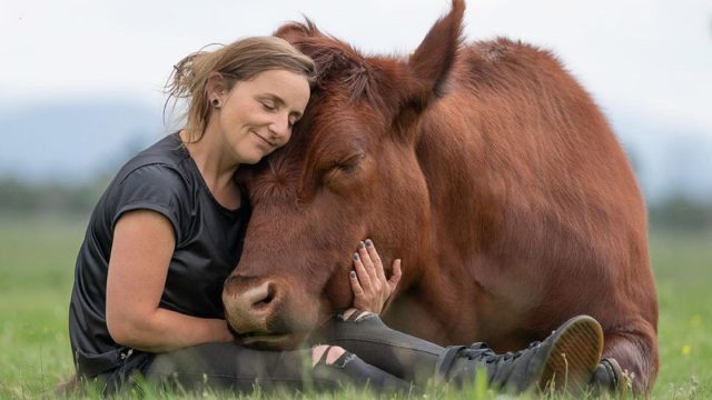 Mujer mejor amiga de enorme toro