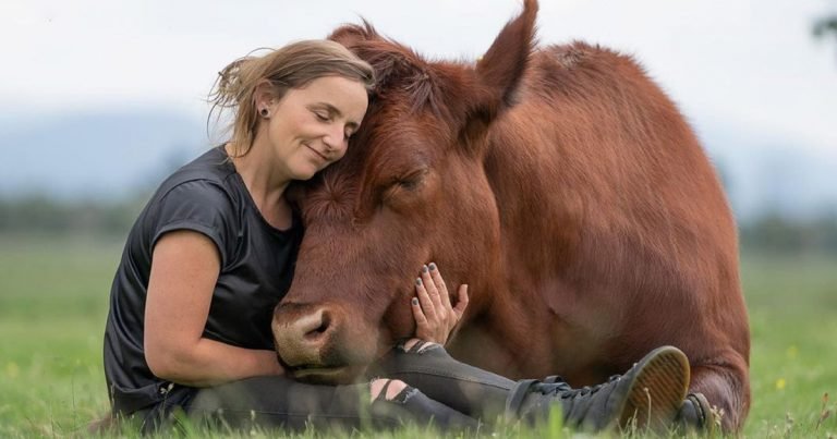 Mujer mejor amiga de enorme toro