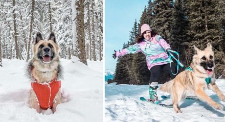 Perrita esquiadora le encanta ir a la montaña con mamá