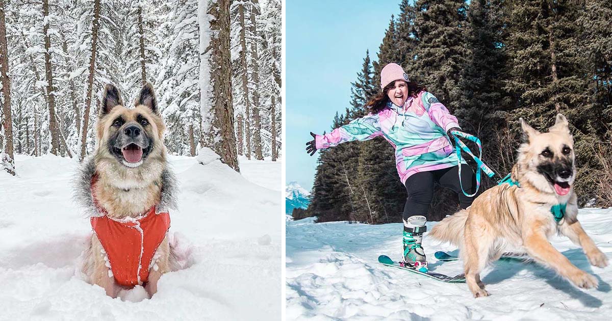 Perrita esquiadora le encanta ir a la montaña con mamá