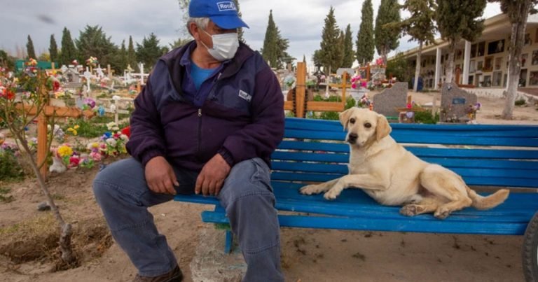Perro que nunca dejó el cementerio