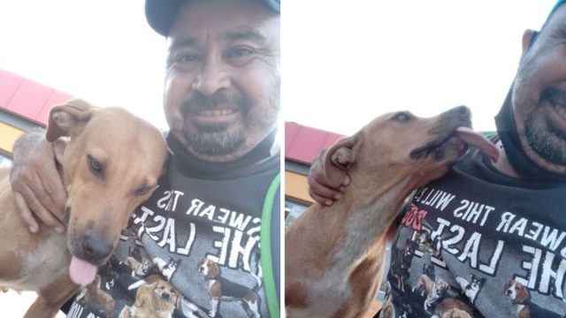 Hombre rescata perrita mordio