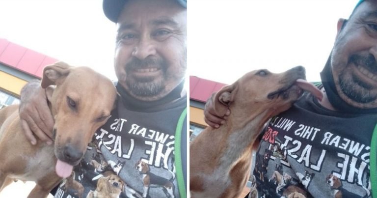 Hombre rescata perrita mordio