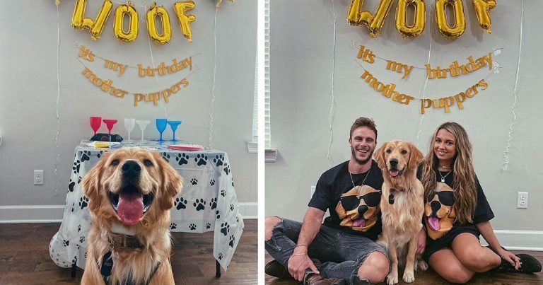La familia de este perro lo ama tanto que le organizaron una fiesta de cumpleaños 'sorpresa'