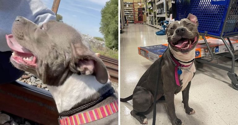 Mujer saca perrita vías tren