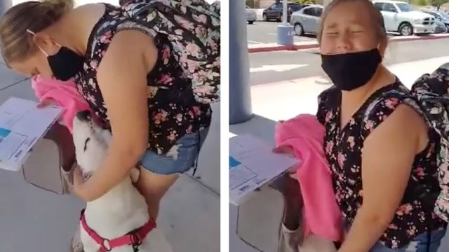 Niña rompe en llanto cuando mamá la sorprende con el perro del refugio que vio en línea