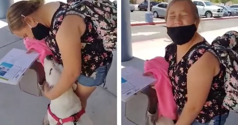 Niña rompe en llanto cuando mamá la sorprende con el perro del refugio que vio en línea