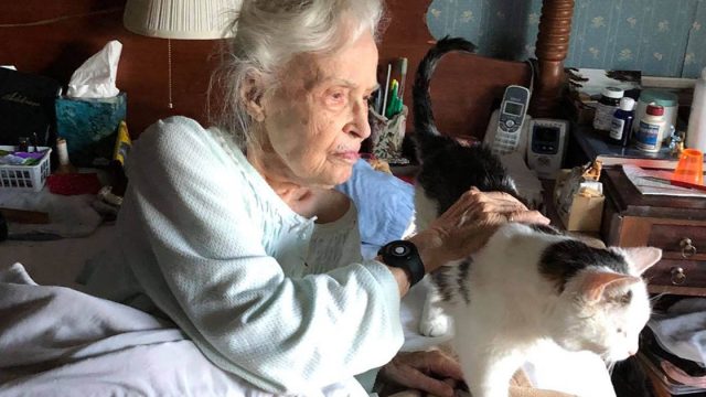 Familia adopta al gato más viejo de refugio