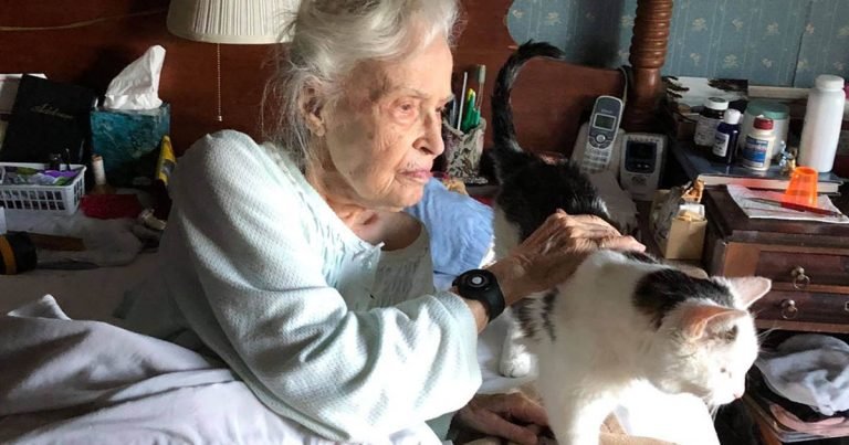 Familia adopta al gato más viejo de refugio
