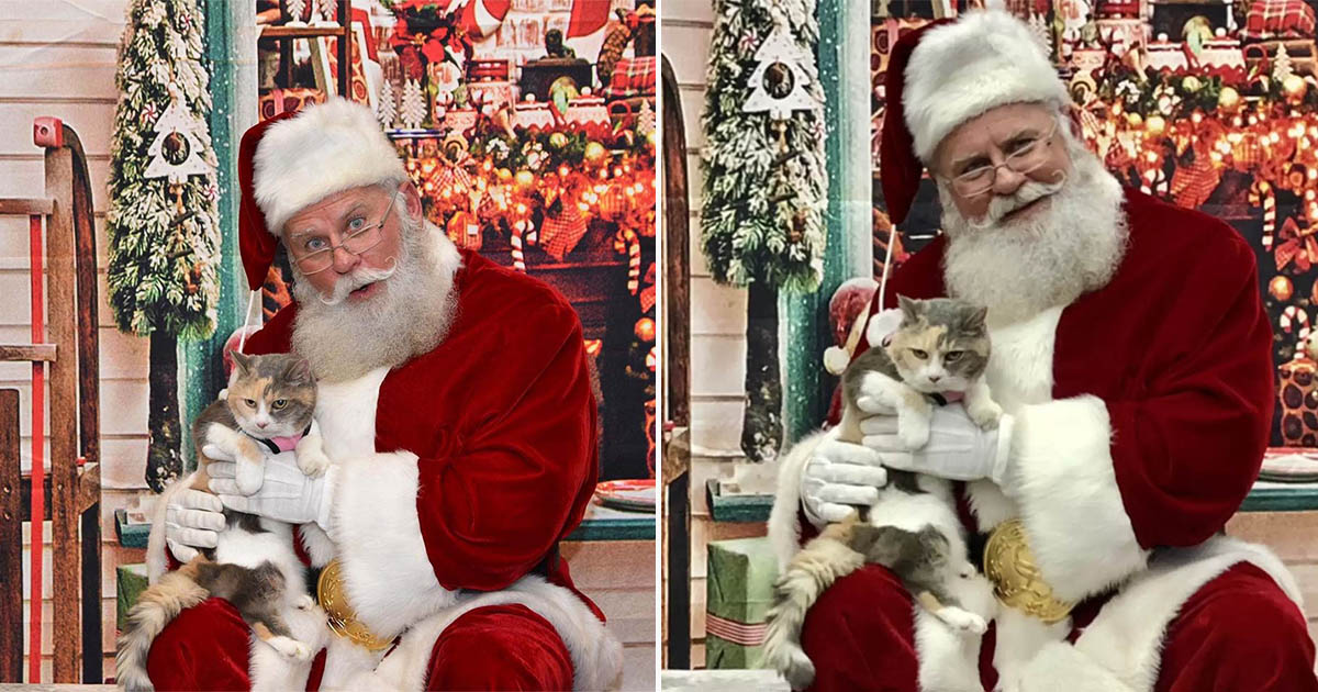 Gata gruñona conoce a Santa