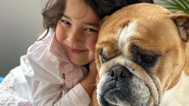 Perrita se convierte en mejor amiga