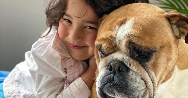 Perrita se convierte en mejor amiga