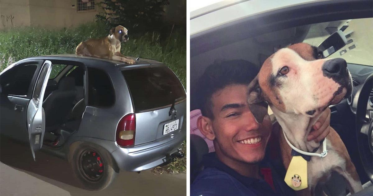 Chico encuentra su auto robado y ve que ahora viene con un perro