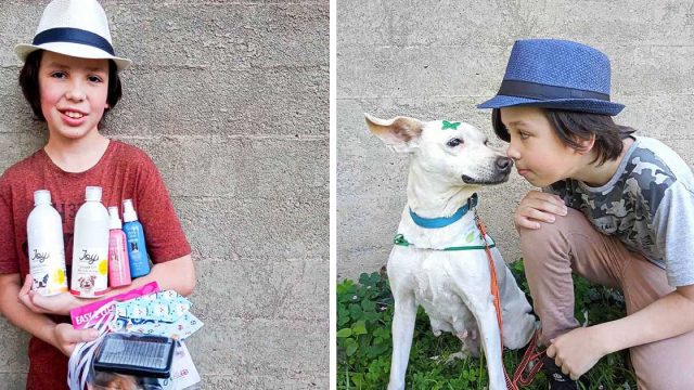 Niño pasa su tiempo libre bañando a perros sin hogar para ayudarlos a ser adoptados