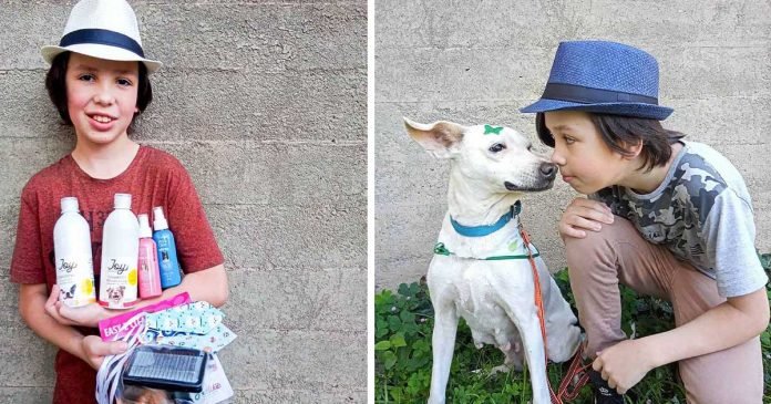 Niño pasa su tiempo libre bañando a perros sin hogar para ayudarlos a ser adoptados