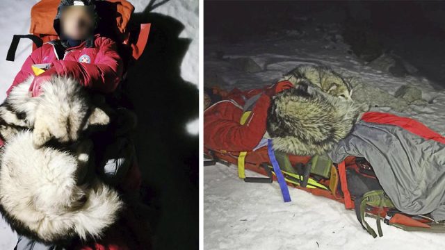 Perro protege a su dueño herido en una caminata al mantenerlo abrigado con abrazos