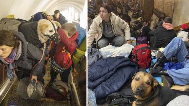 Fotos desgarradoras muestran a ucranianos aferrándose a sus mascotas mientras huyen