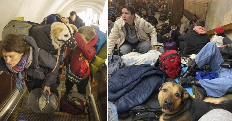 Fotos desgarradoras muestran a ucranianos aferrándose a sus mascotas mientras huyen