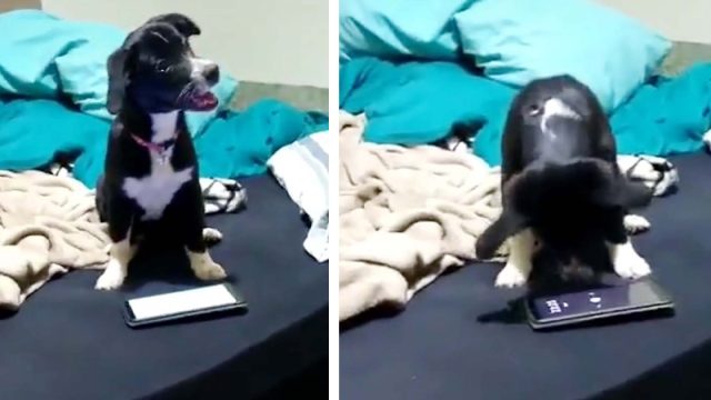 Hombre se sorprende al descubrir por qué su alarma dejó de despertarlo por la mañana