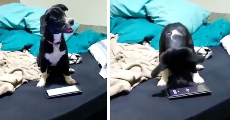 Hombre se sorprende al descubrir por qué su alarma dejó de despertarlo por la mañana