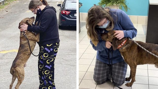 Perro de un refugio consuela a una adolescente con ansiedad, y ella lo adopta