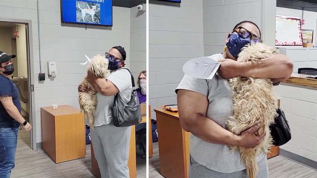 Perro mayor desaparecido está muy feliz cuando vuelve a abrazar a su madre