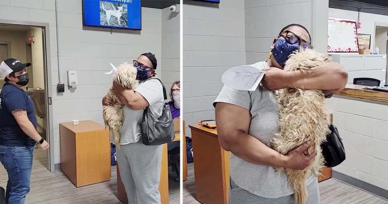 Perro mayor desaparecido está muy feliz cuando vuelve a abrazar a su madre
