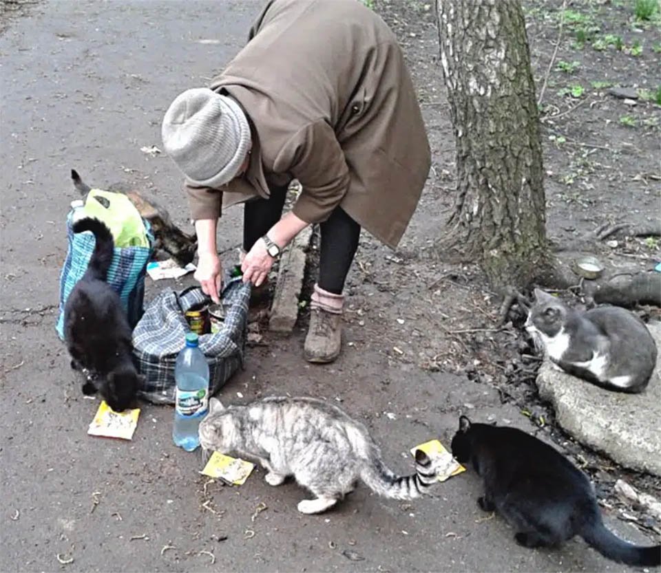 Ancianos ayudan animales