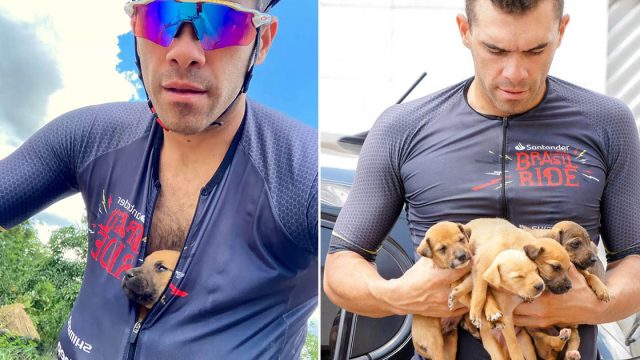 Ciclista encuentra cachorros abandonados