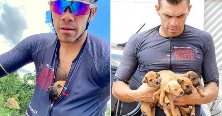 Ciclista encuentra cachorros abandonados
