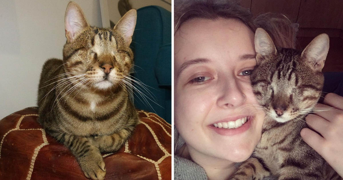 Gato ciego Grecia encuentra familia Londres