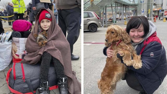 Hombre cuida a los animales en la frontera con Ucrania para que los refugiados no tengan que renunciar a ellos