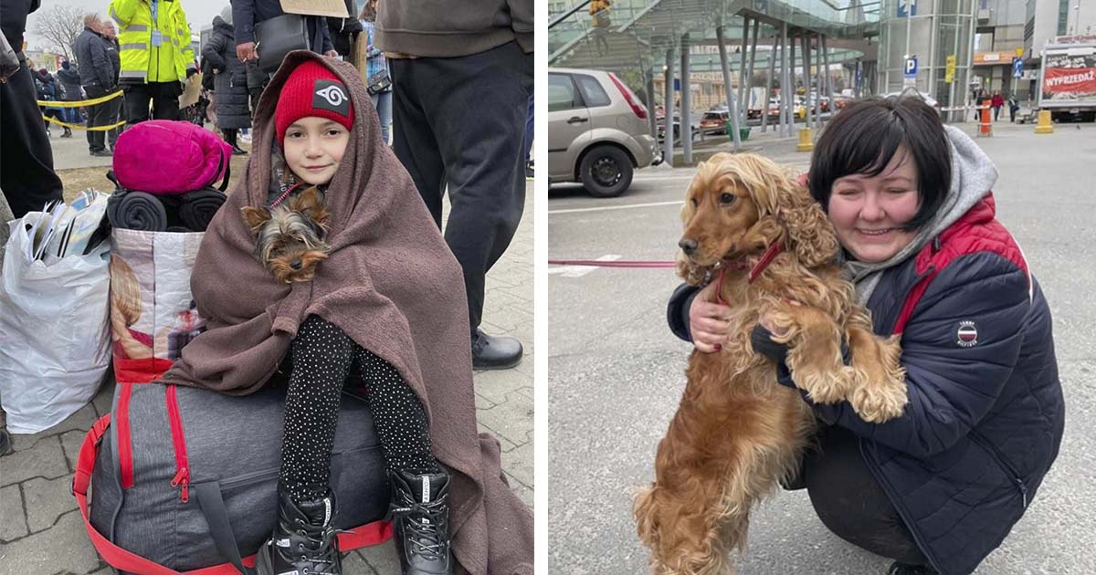 Hombre cuida a los animales en la frontera con Ucrania para que los refugiados no tengan que renunciar a ellos