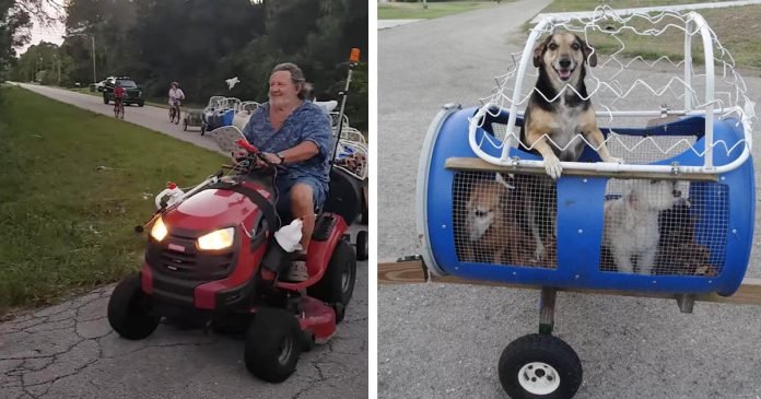 Pareja construye un 'tren para perros' para pasear a sus perros rescatados