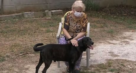 Perro se va a vivir a la residencia de ancianos para no separarse de su dueña
