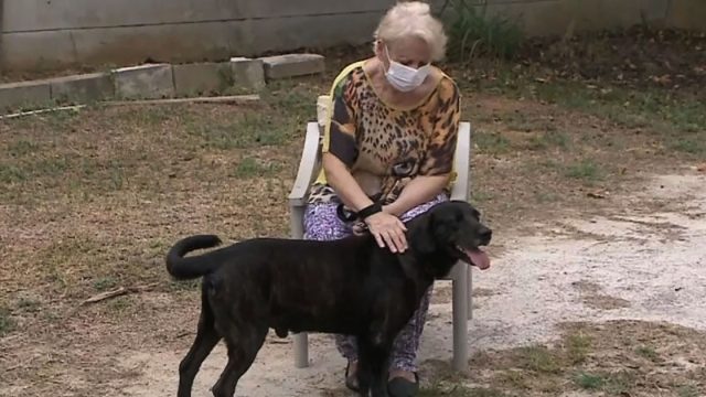 Perro se va a vivir a residencia de ancianos
