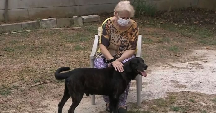 Perro se va a vivir a residencia de ancianos