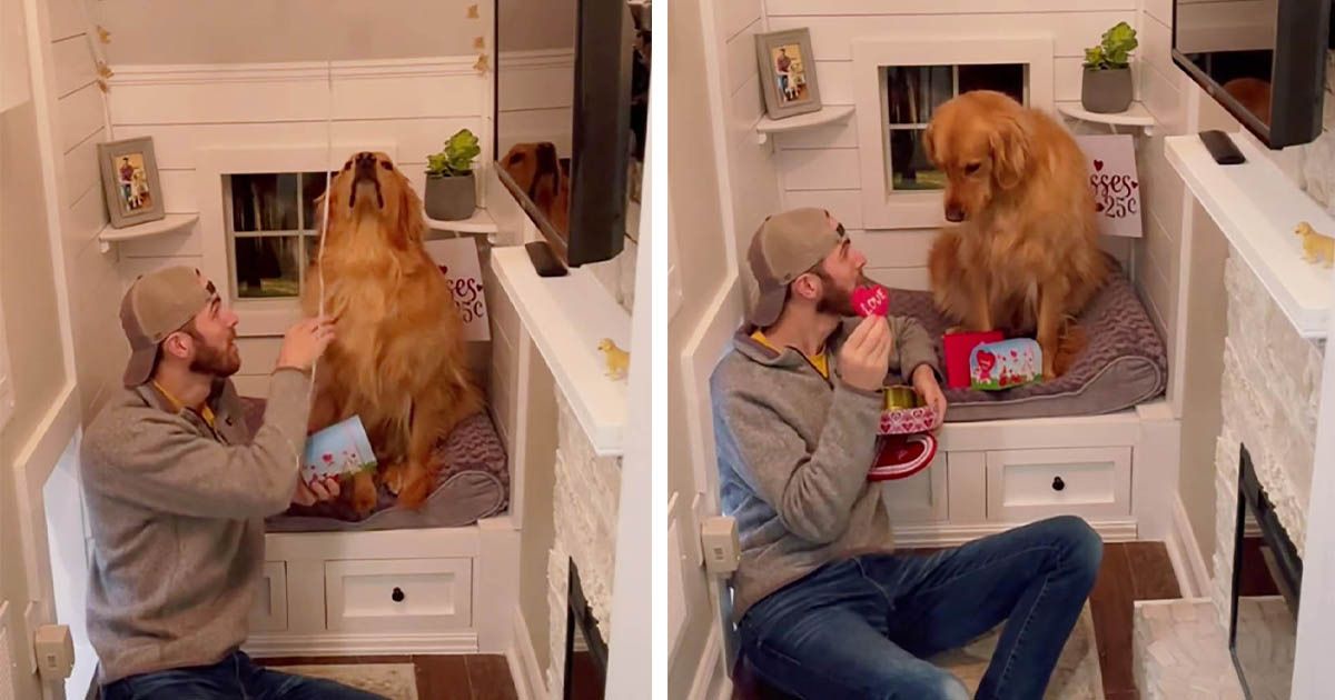 Perro tiene la reacción más divertida al ver un globo por primera vez