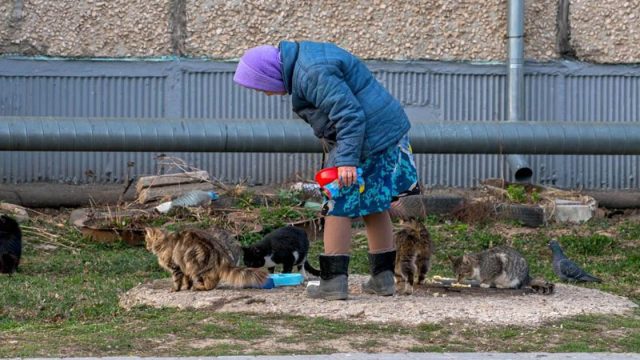 Ucranianos ancianos y discapacitados arriesgan sus vidas
