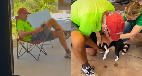 Hombre acampa en un refugio para poder adoptar a su perro favorito