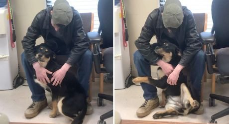 Joven sin hogar se reúne con su amada perrita en un refugio después de encontrar un hogar juntos