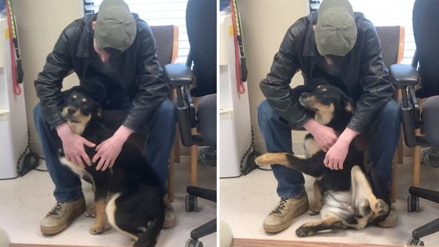 Joven sin hogar reúne perrita refugio