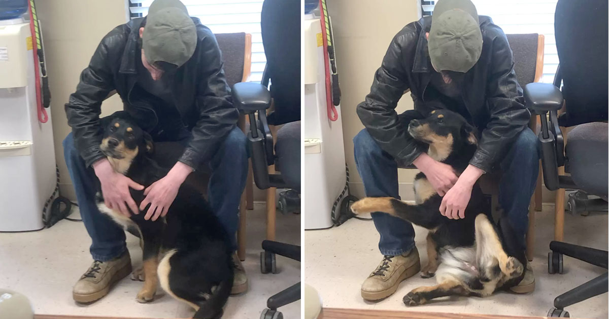 Joven sin hogar reúne perrita refugio