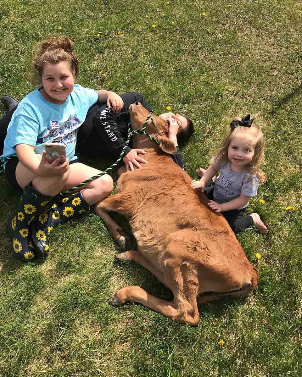 Niños juegan con una vaca
