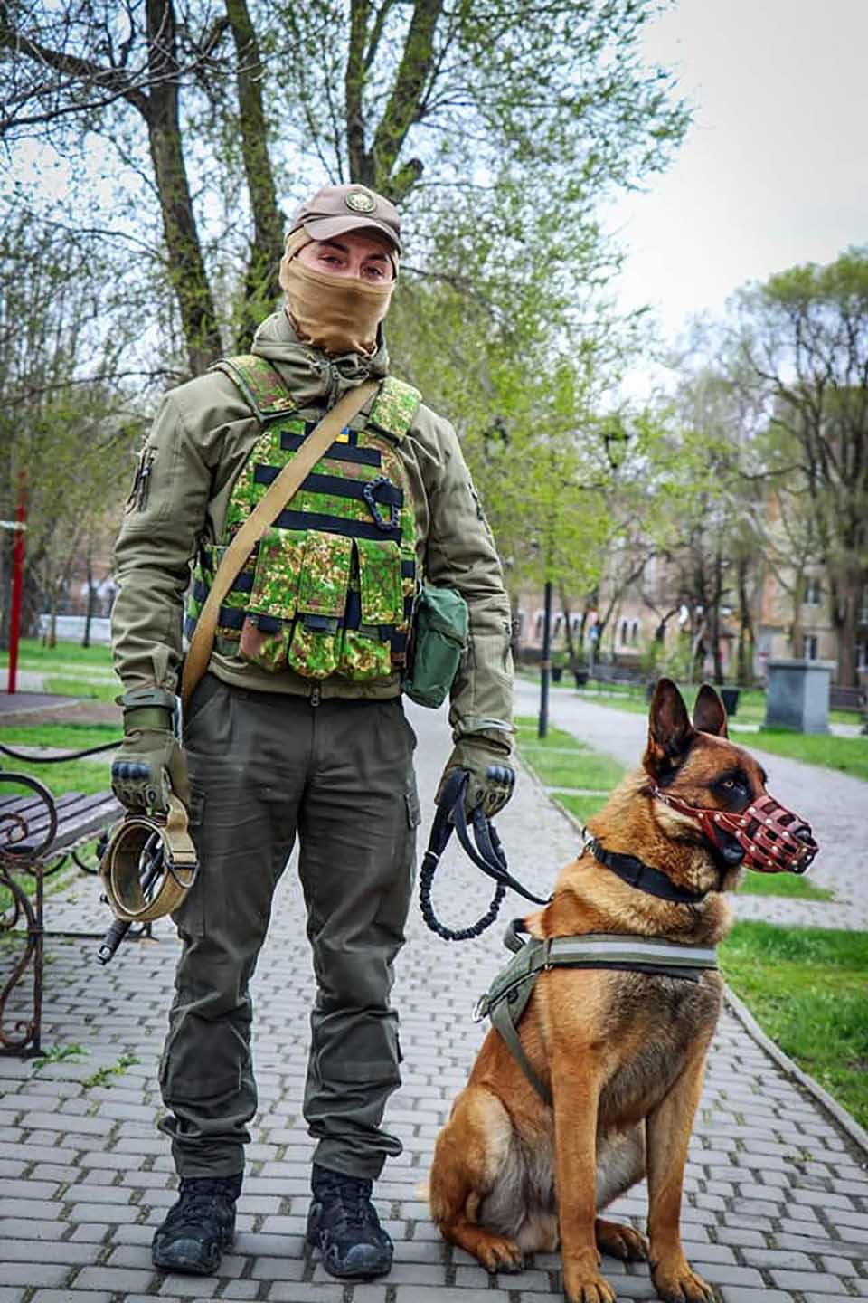 Perro de guerra abandonado es rescatado por tropas ucranianas
