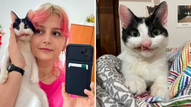 Mujer da gatita oportunidad tener vida plena