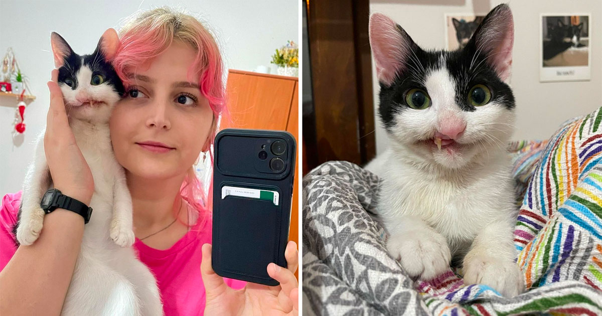 Mujer da gatita oportunidad tener vida plena